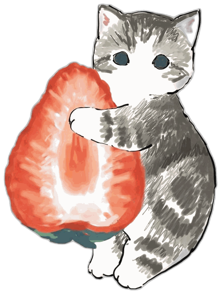 抱草莓猫